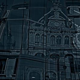 Avocats Lyon Spécialistes En Droit Public